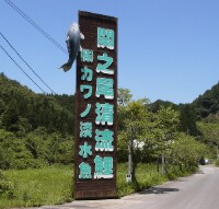 カワノ淡水魚です
